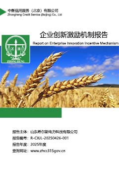 企业创新激励机制报告上传.jpg