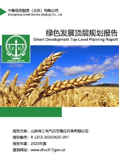 绿色发展顶层规划报告sc.jpg