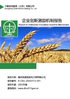 企业创新激励机制报告上传.jpg