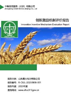 8.创新激励机制评价报告sc.jpg