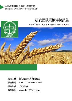 6.研发团队规模评价报告sc.jpg