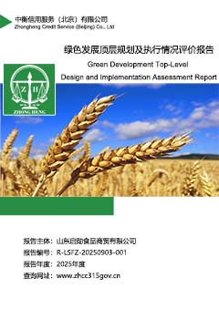 1.绿色发展顶层规划报告封面sc.jpg