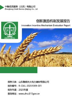8.创新激励机制评价报告sc.jpg