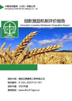 企业创新激励机制报告封面S.jpg