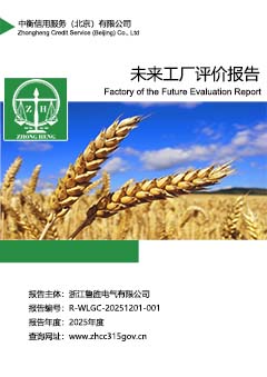 未来工厂评价报告封面S.jpg