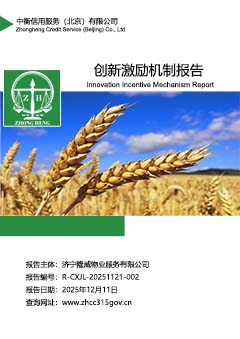 企业创新激励机制报告封面S.jpg