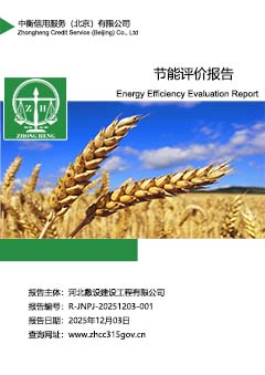 节能评审报告封面ss.jpg