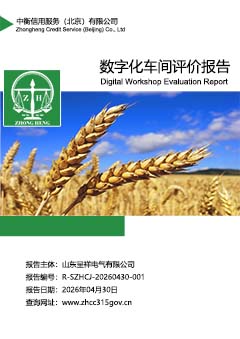 数字化车间评价报告封面S.jpg