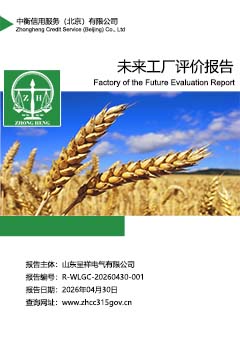 未来工厂评价报告封面S.jpg
