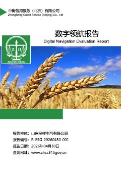 数字领航报告封面S.jpg